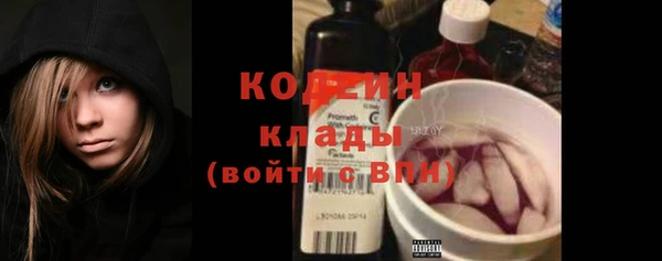 ГАЛЛЮЦИНОГЕННЫЕ ГРИБЫ Верея