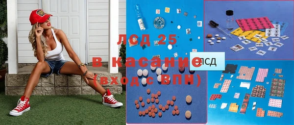 ГАЛЛЮЦИНОГЕННЫЕ ГРИБЫ Верея