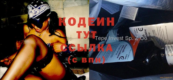 ГАЛЛЮЦИНОГЕННЫЕ ГРИБЫ Верея